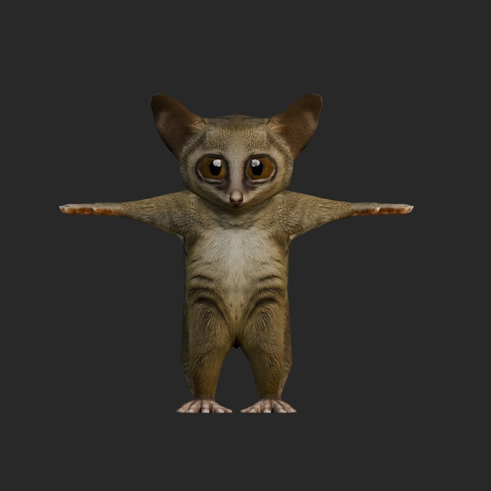 【3Dキャラクター】ショウガラゴ(ローポリ)