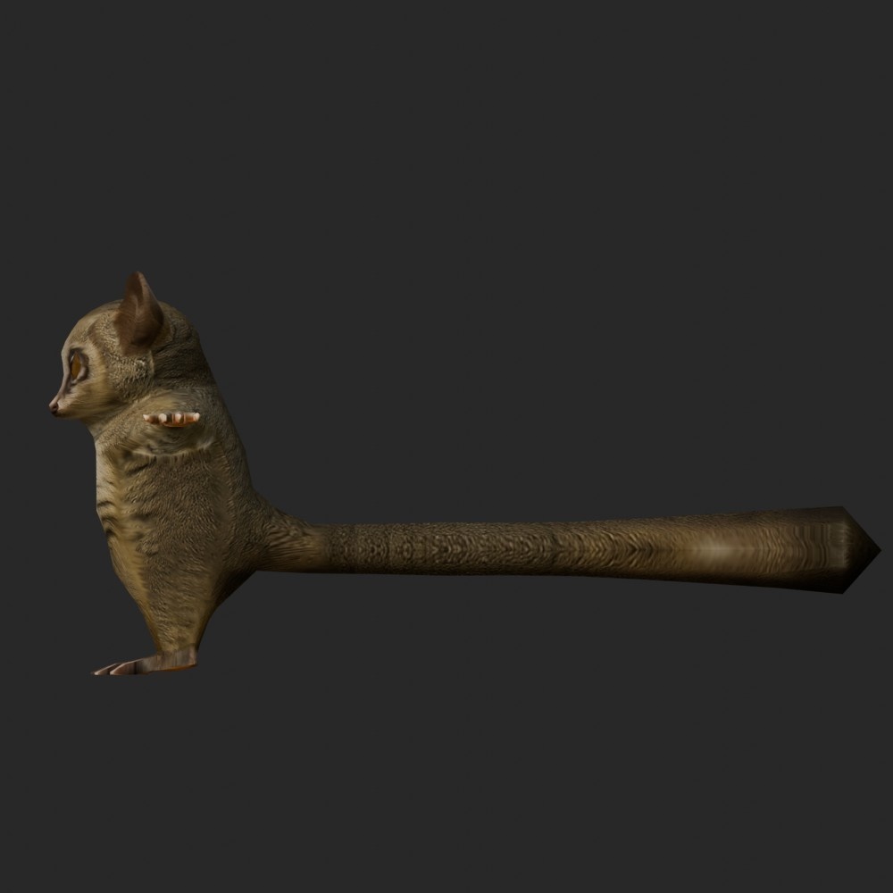 【3Dキャラクター】ショウガラゴ(ローポリ)