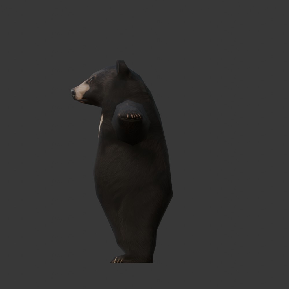 【3Dキャラクター】ツキノワグマ(ローポリ)