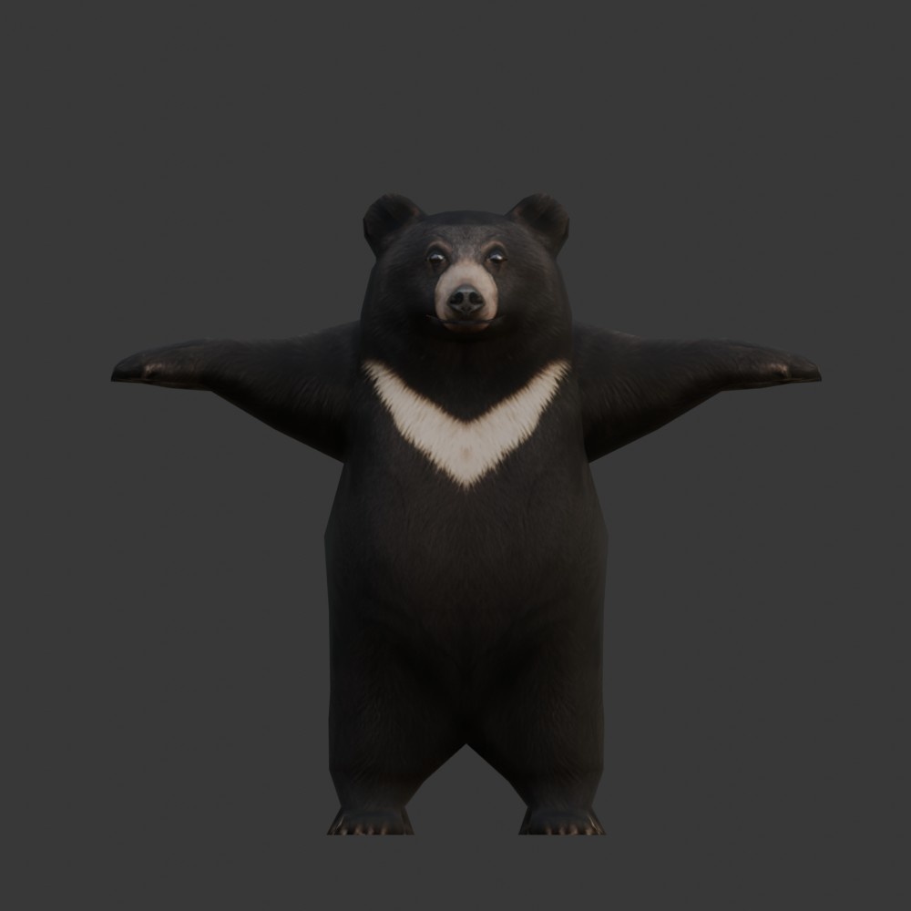 【3Dキャラクター】ツキノワグマ(ローポリ)