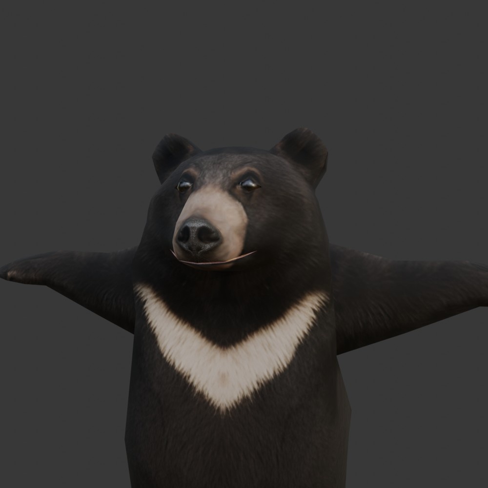【3Dキャラクター】ツキノワグマ(ローポリ)