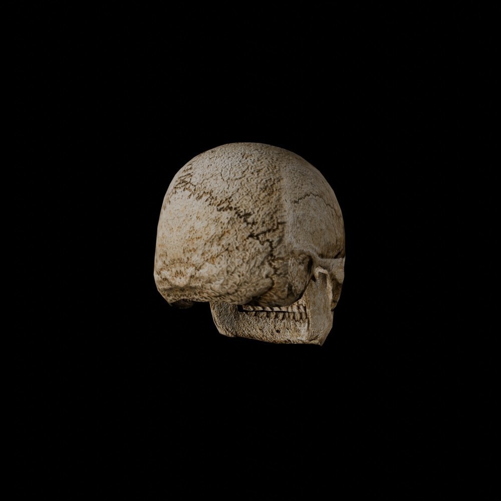 【3D小道具】古びた頭蓋骨(ローポリ)