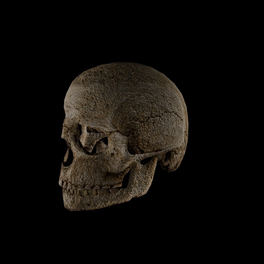 【3D小道具】古びた頭蓋骨(ローポリ)