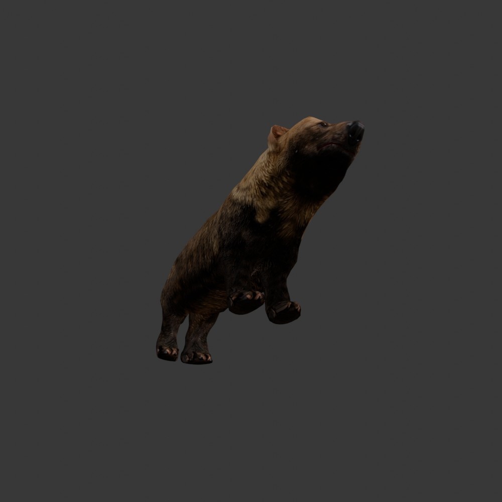 【3D動物】ヤブイヌ(ローポリ)