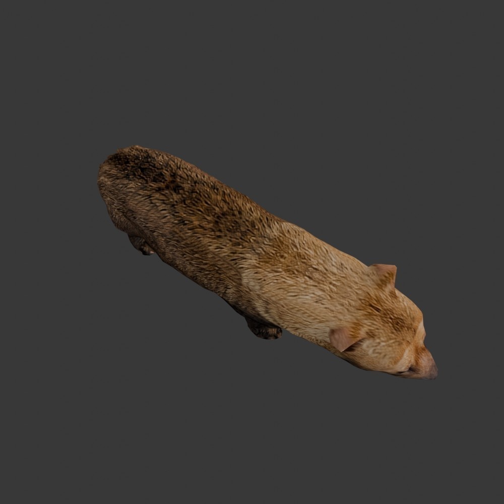 【3D動物】ヤブイヌ(ローポリ)