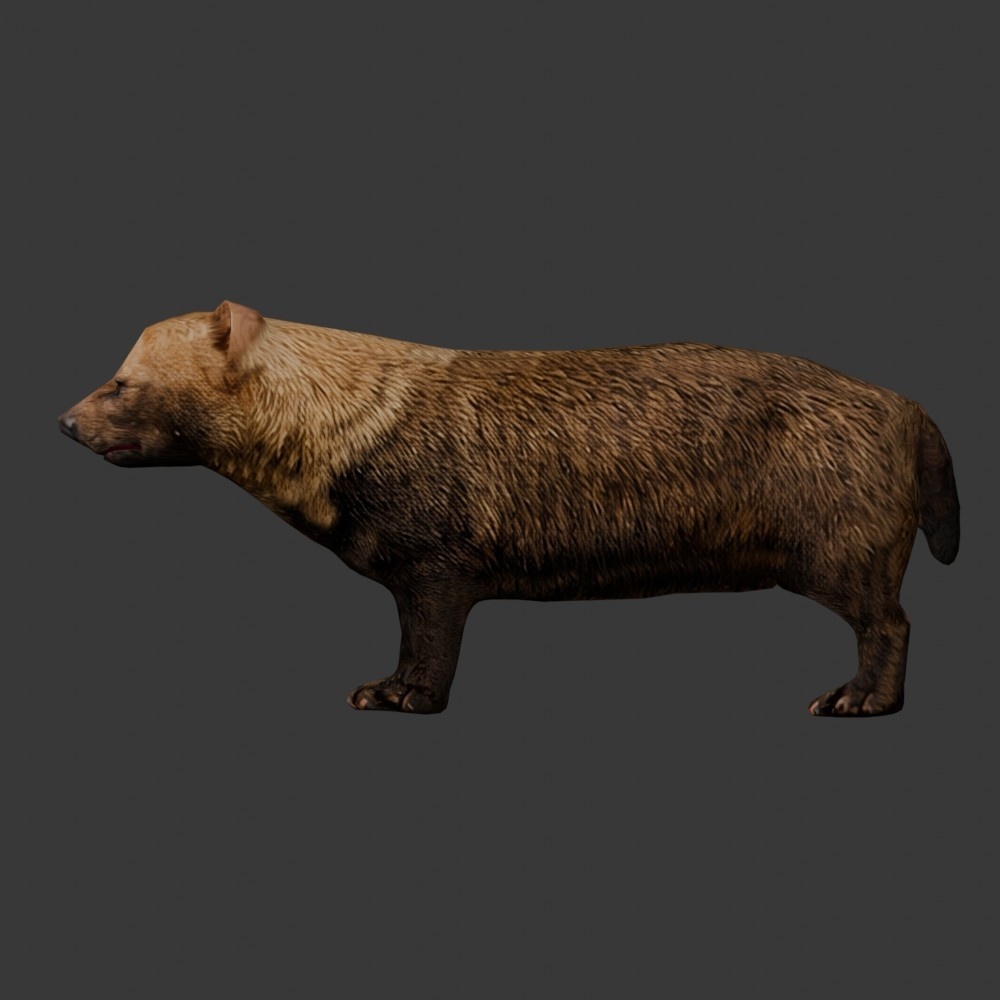 【3D動物】ヤブイヌ(ローポリ)
