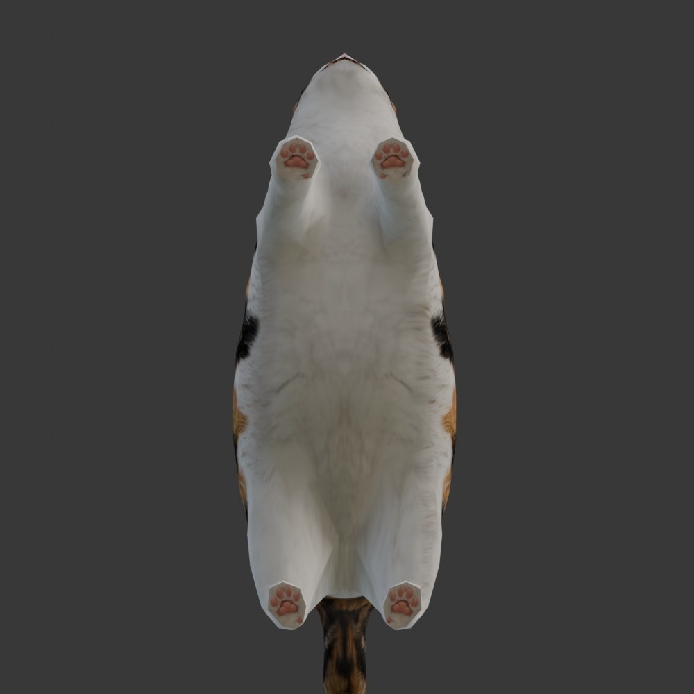 【3D動物】ブーニャン(ローポリ)