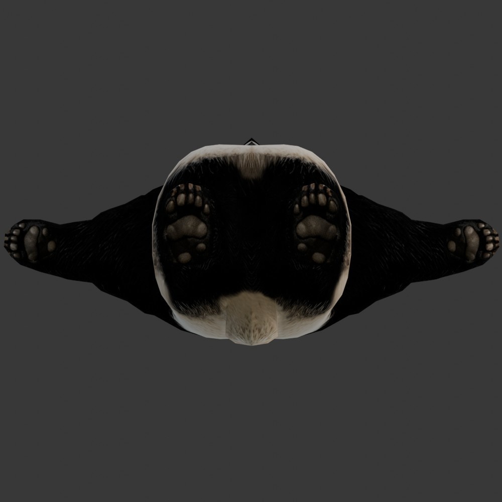 【3D動物】パンダ(ローポリ)