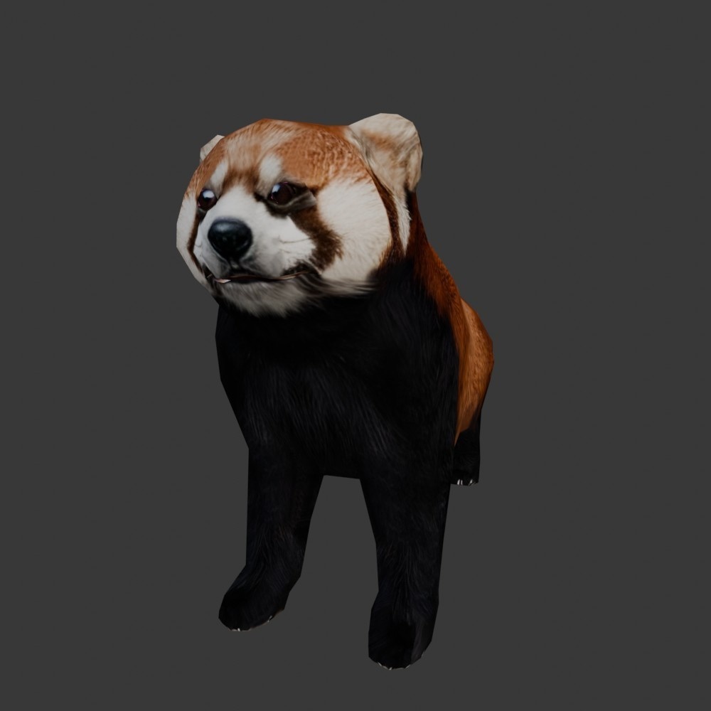 【3D動物】レッサーパンダ(ローポリ)