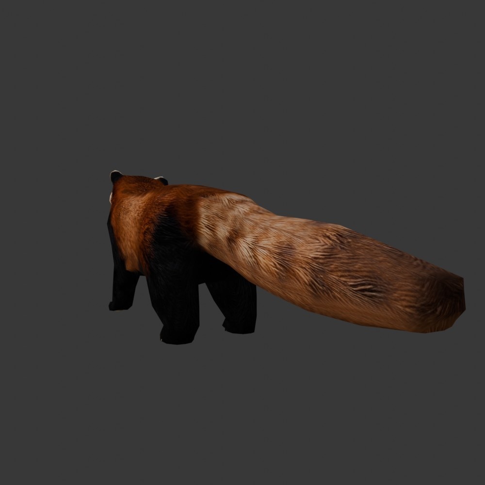 【3D動物】レッサーパンダ(ローポリ)