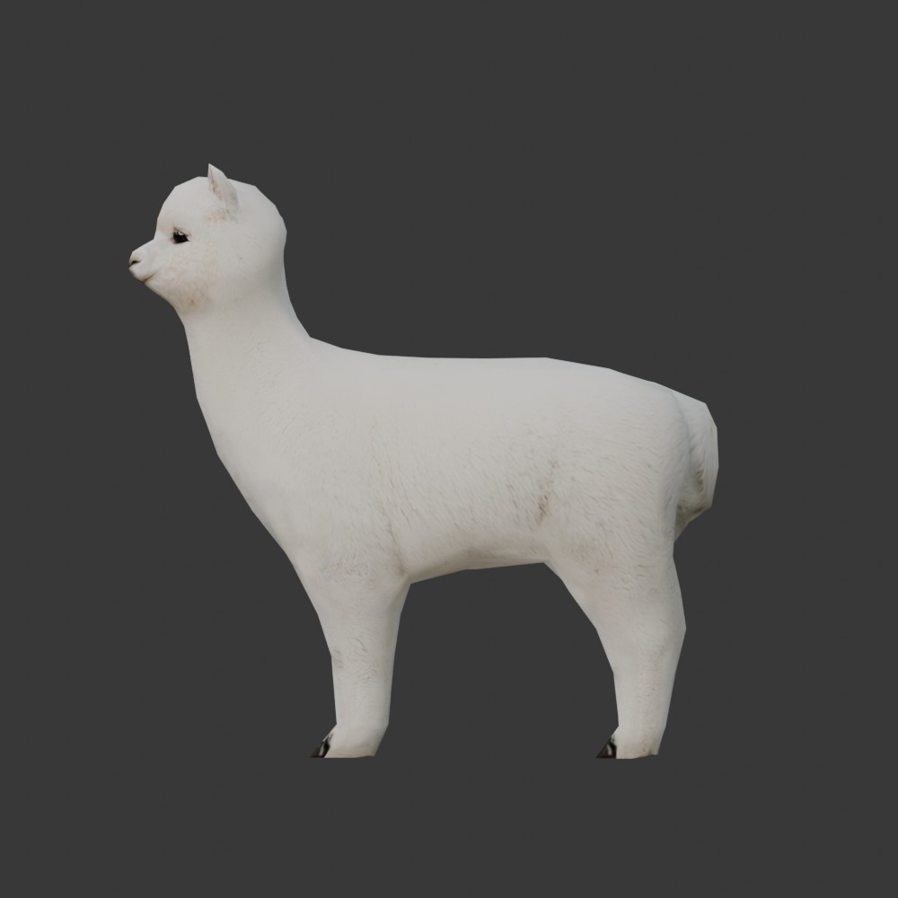 【3D動物】アルパカのゆきちゃん(ローポリ)