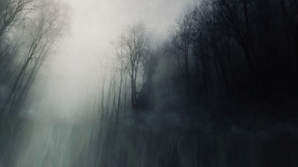 【ワールド・環境】忘れられた樹々の王域