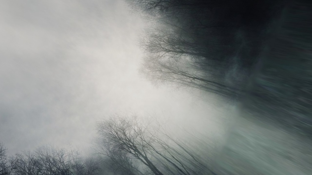 【ワールド・環境】忘れられた樹々の王域