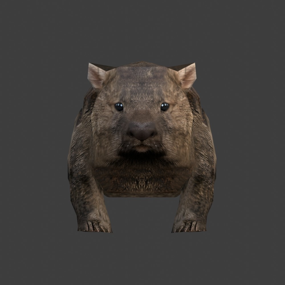 【3Dキャラクター】ウォンバット(ローポリ)