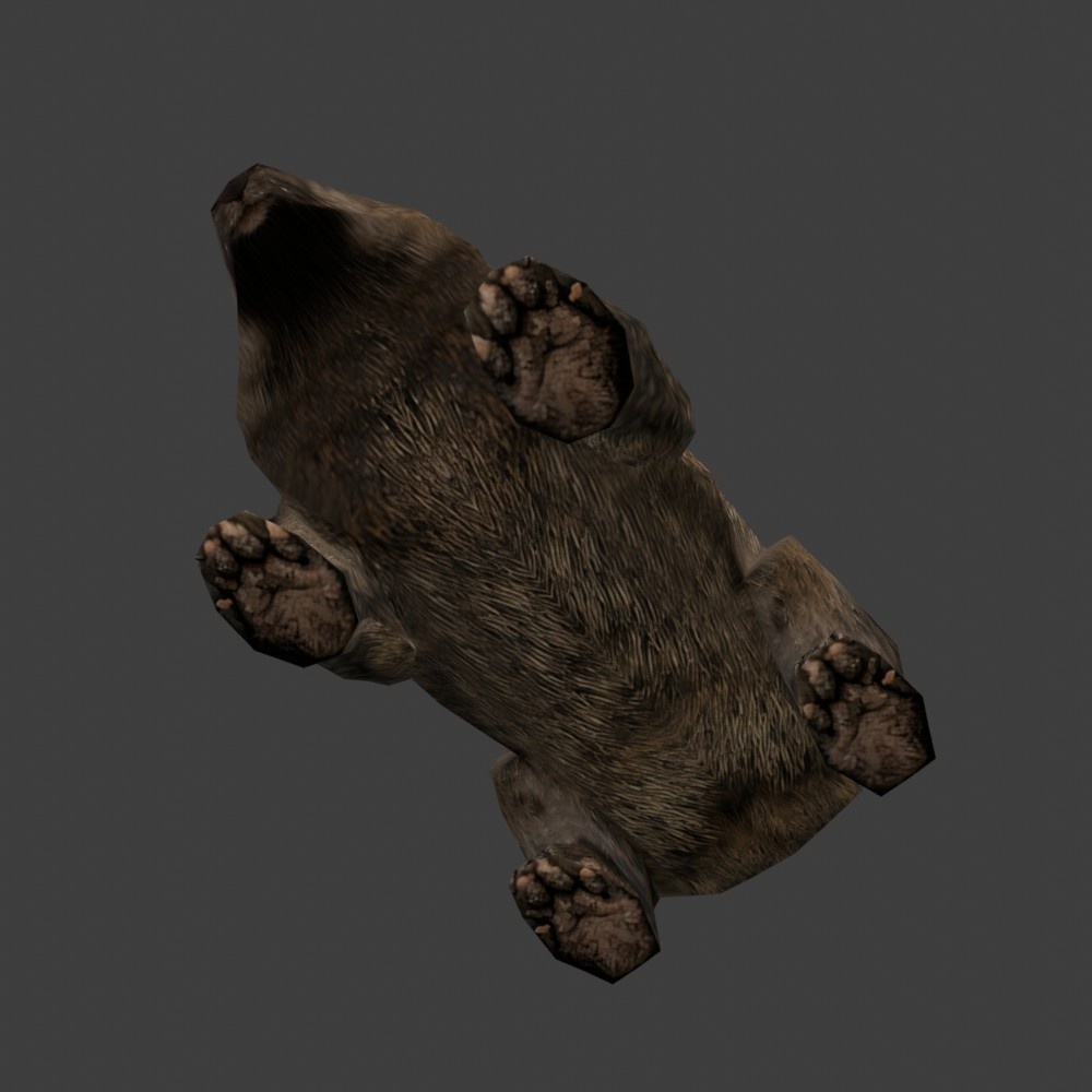 【3Dキャラクター】ウォンバット(ローポリ)