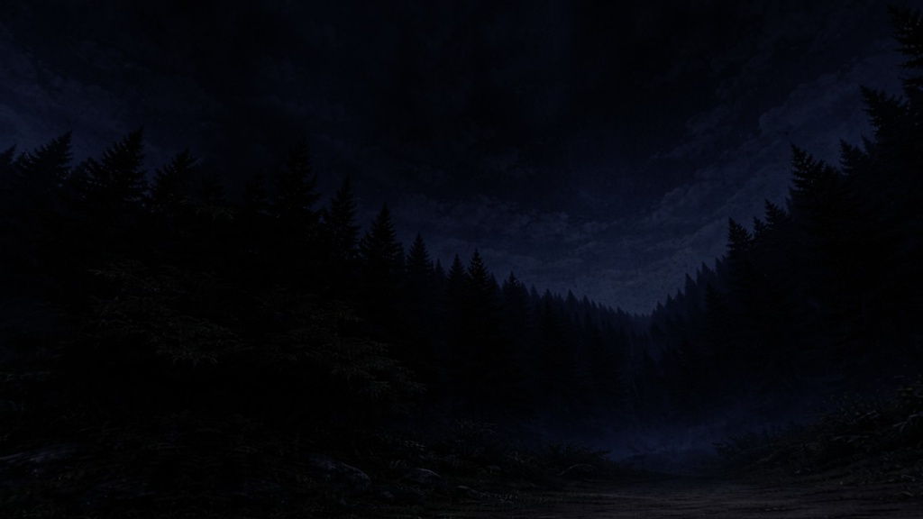 【ワールド・環境】午前三時の森 SKYBOXテクスチャ