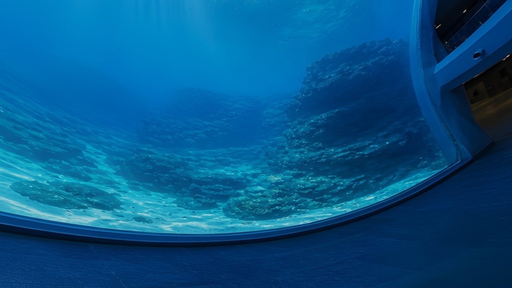 【ワールド・環境】誰もいない水族館 SKYBOXマテリアル