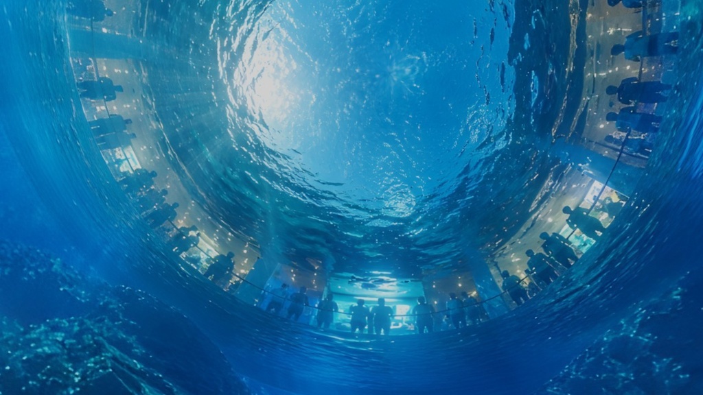 【ワールド・環境】水族館の魚の気持ち 水槽からみた世界 SKYBOXマテリアル