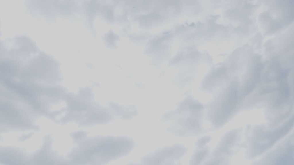 【ワールド・環境】日本の樹海 SKYBOXマテリアル