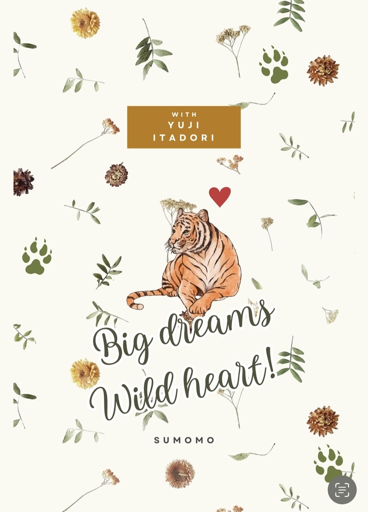 Big dreams, Wild heart!