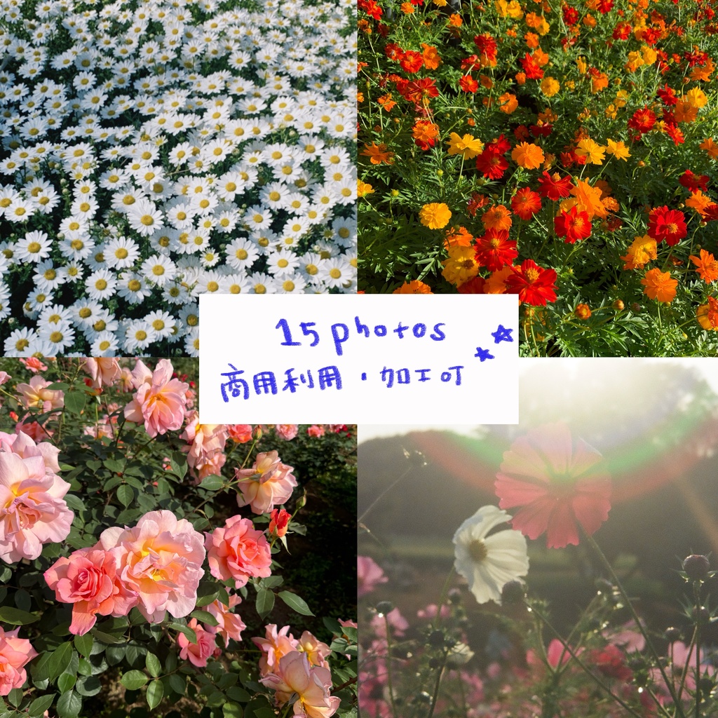 Flower Background pack A / お花の背景画像15枚(商用利用可能)