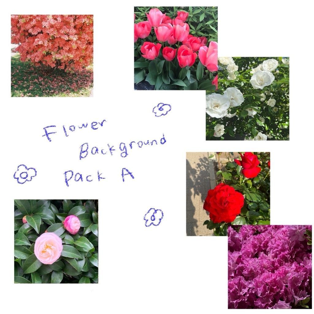 Flower Background pack A / お花の背景画像15枚(商用利用可能)