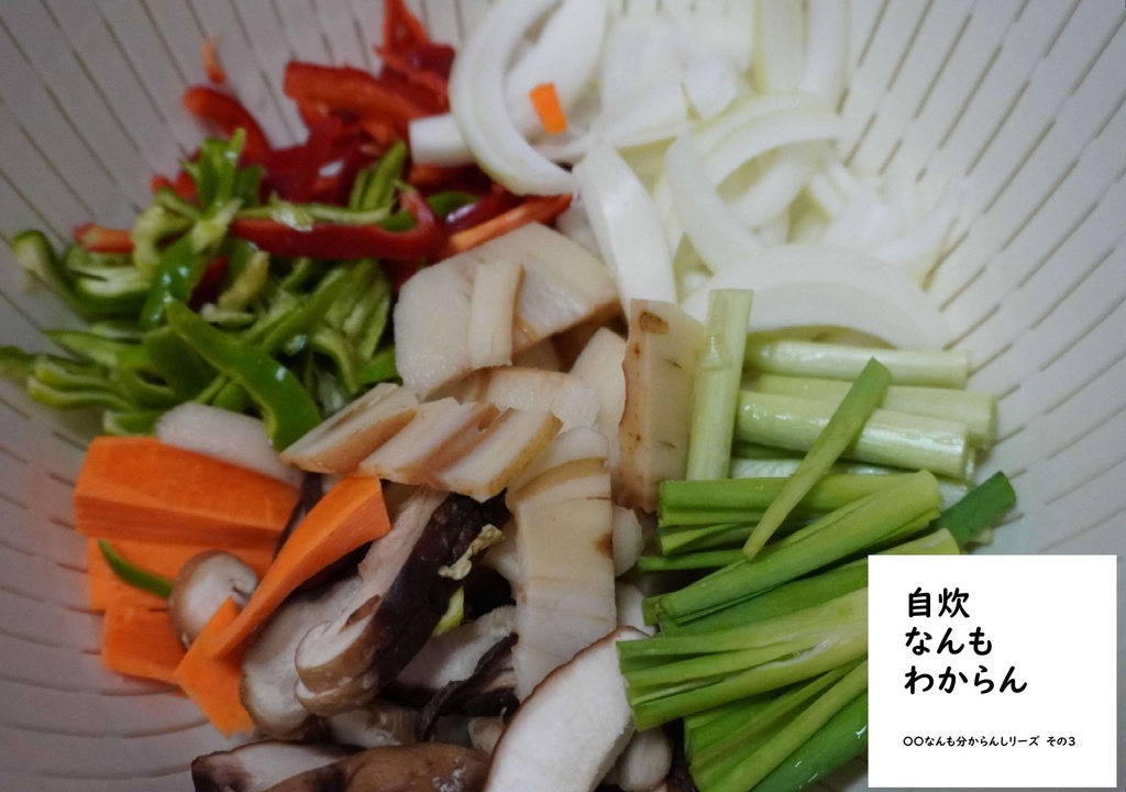 自炊なんもわからん