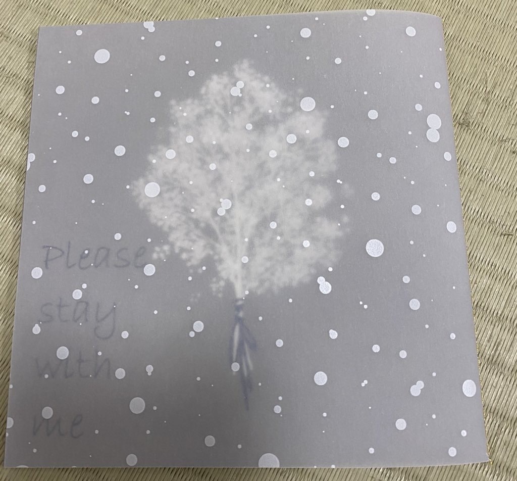 【すぎたい】Please Stay With Me 【小説】