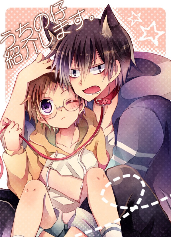 うちの仔紹介します。