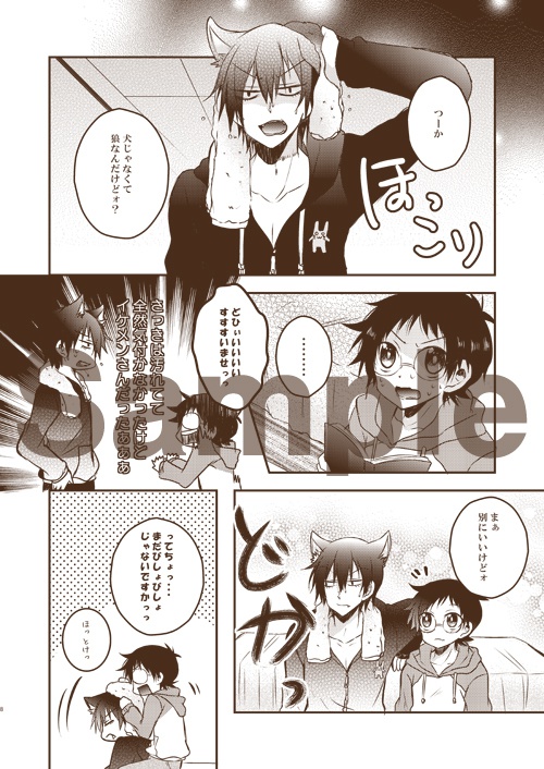 うちの仔紹介します。