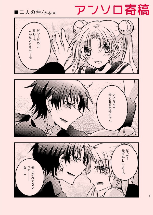 LOVE3【星うさ再録本3】