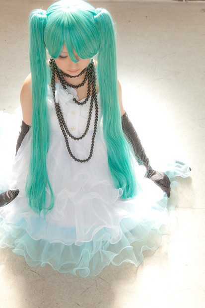 FWCP008 ただいま。