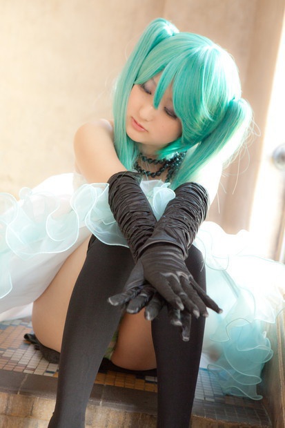 FWCP008 ただいま。