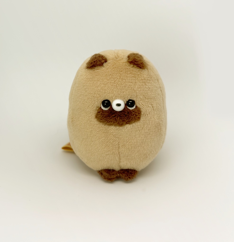 もちたぬちゃん