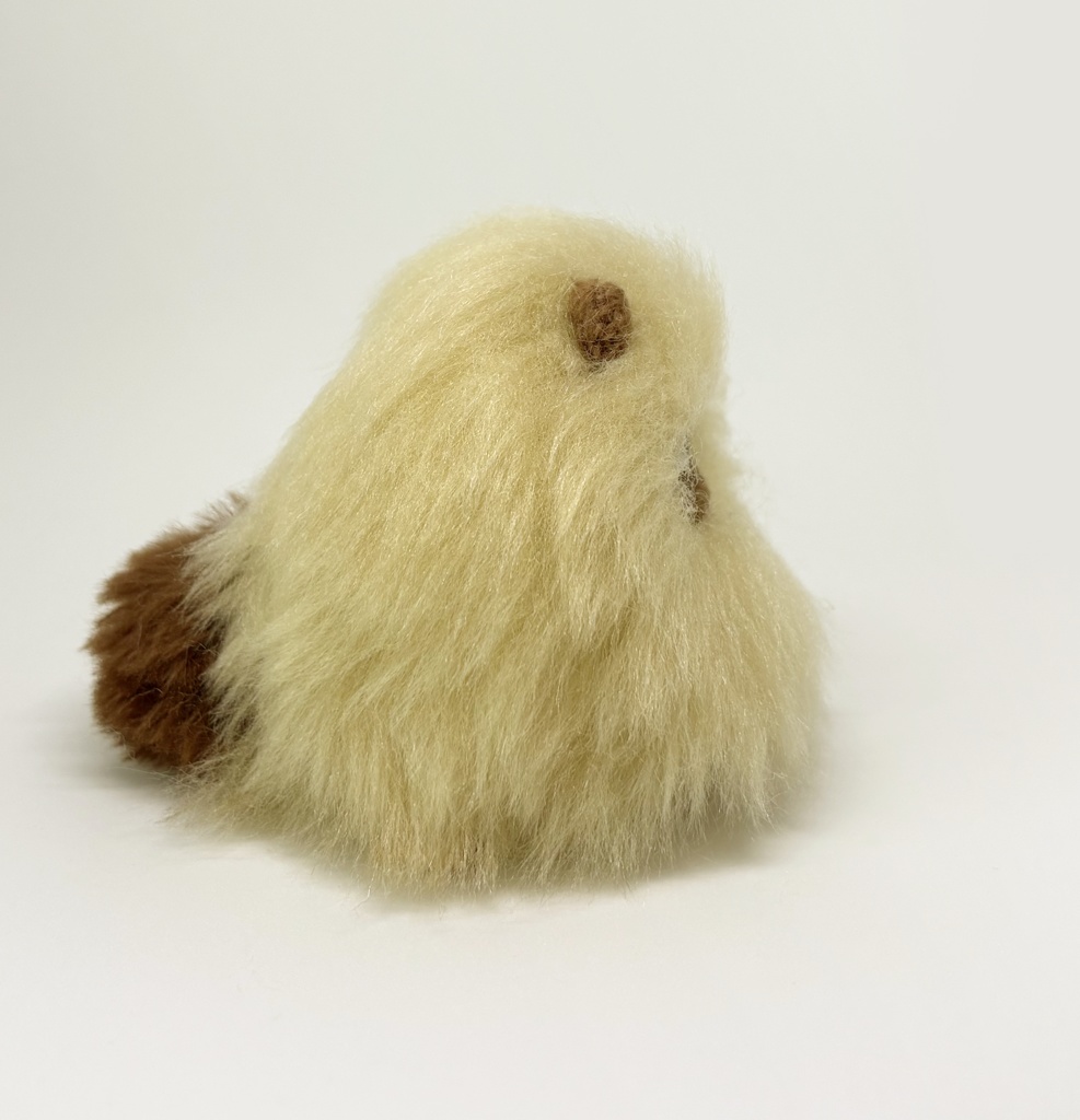 夏の冬のもちたぬちゃん