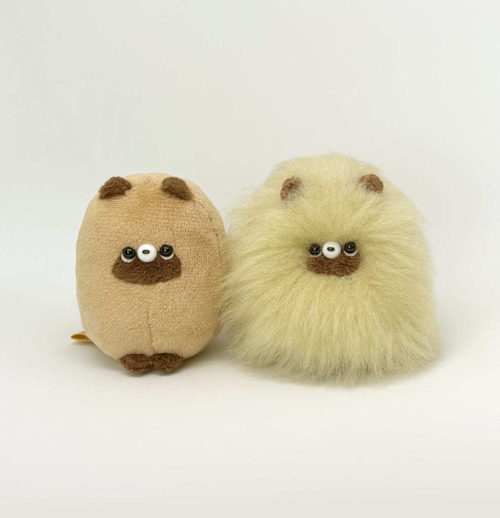 夏の冬のもちたぬちゃん