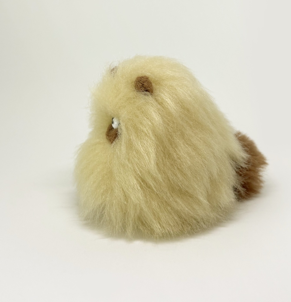 夏の冬のもちたぬちゃん