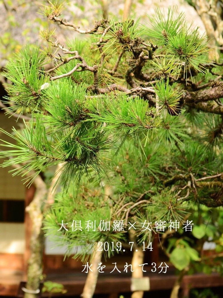 審神者になった日~大倶利伽羅編~