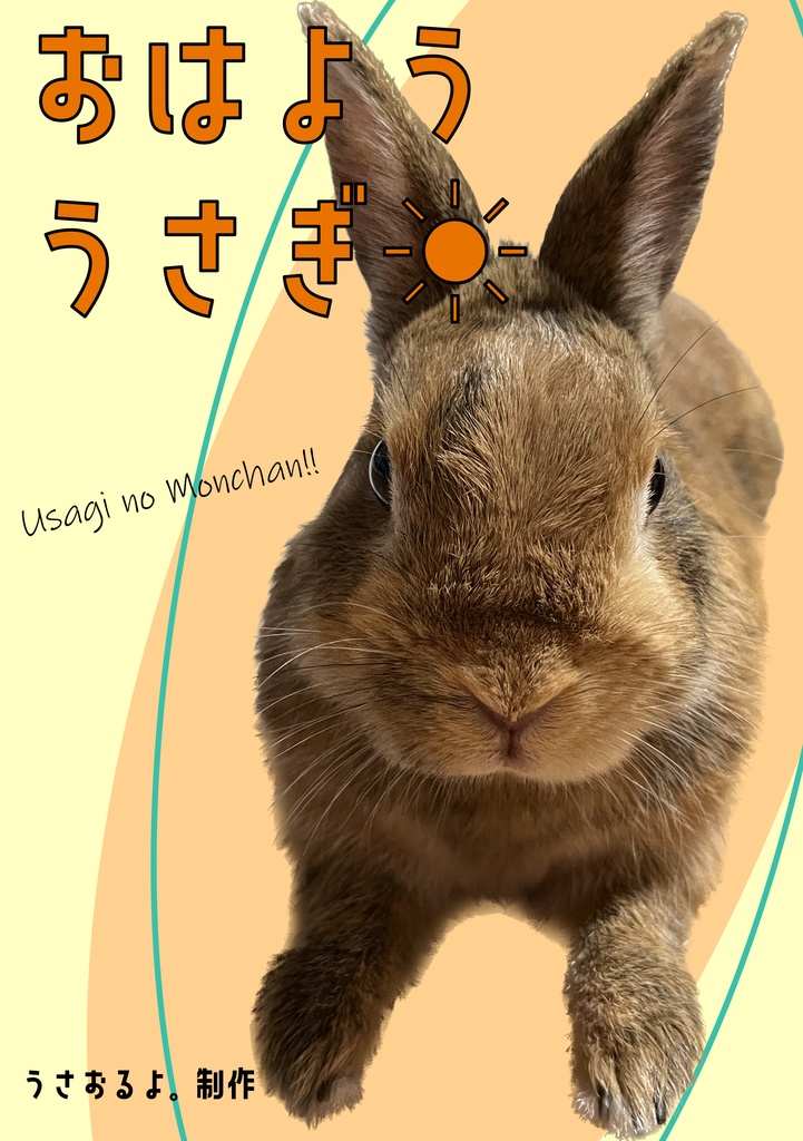 おはよううさぎ☀