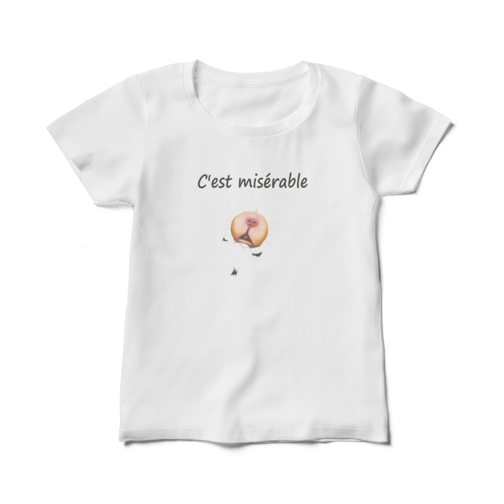 ダメージ風Tシャツ「セ・ミゼラブル　～服やぶれて～」 レディースM/L