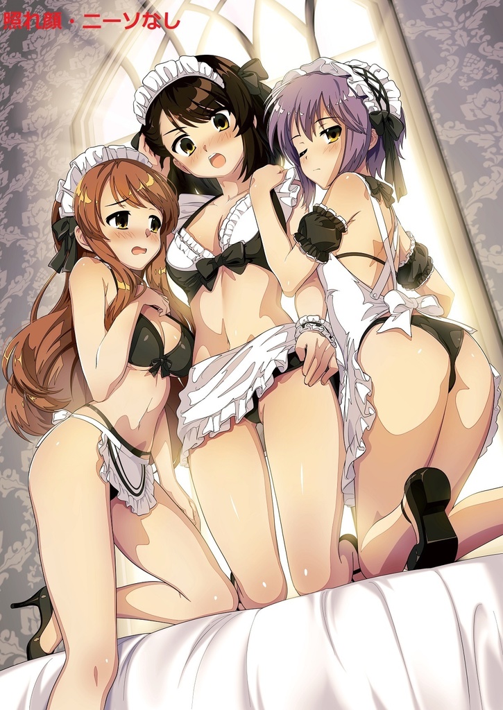 ハルヒ・みくる・長門・ビキニメイド衣装・タペストリー