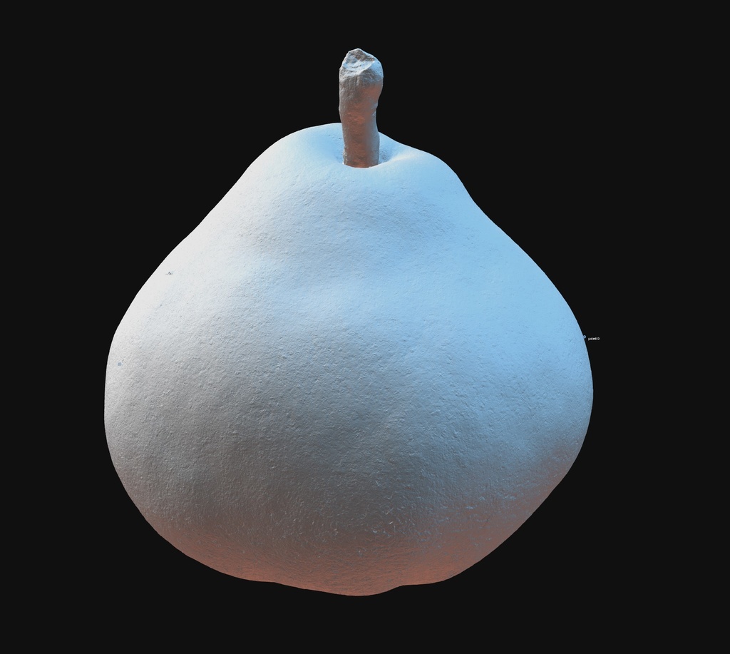 【3Dモデル】ラ・フランス 4L(2023)