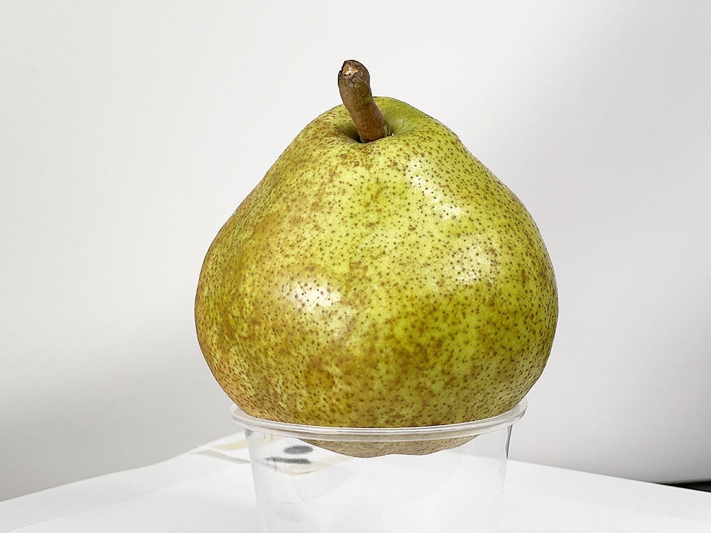 【3Dモデル】ラ・フランス 4L(2023)