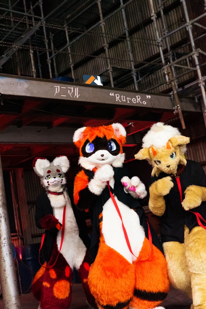 るーふる踊ってみた第2弾ポスター