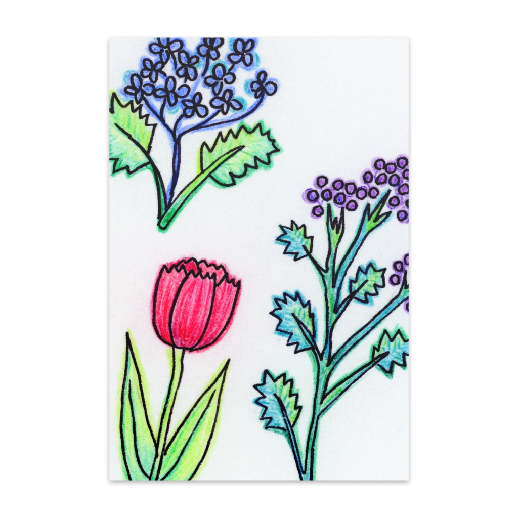 ポストカード 10枚セット 色鉛筆画 花 アートグッズ By Jonspca Booth