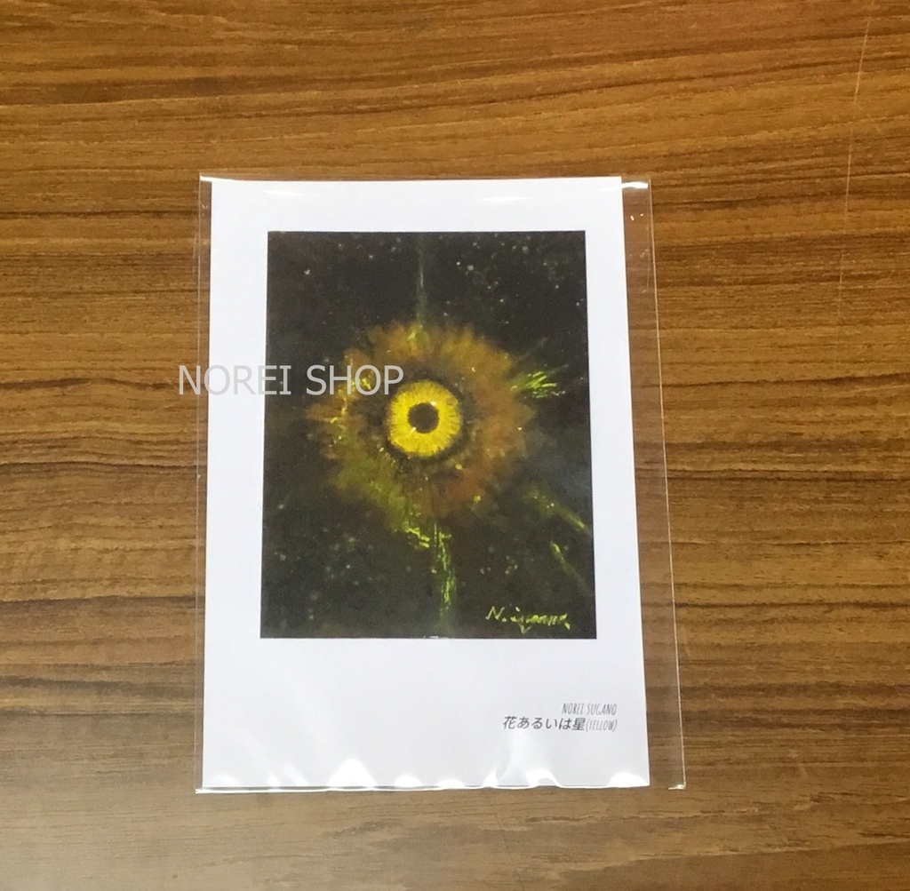 ポストカード「花あるいは星」