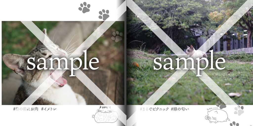 気の抜けたネコが見れる写真集