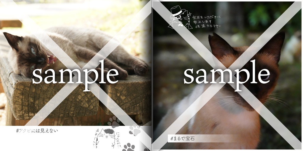 気の抜けたネコが見れる写真集