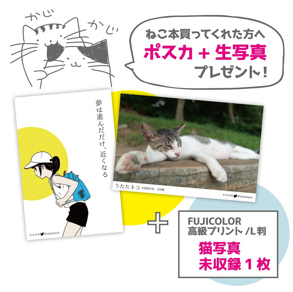 気の抜けたネコが見れる写真集