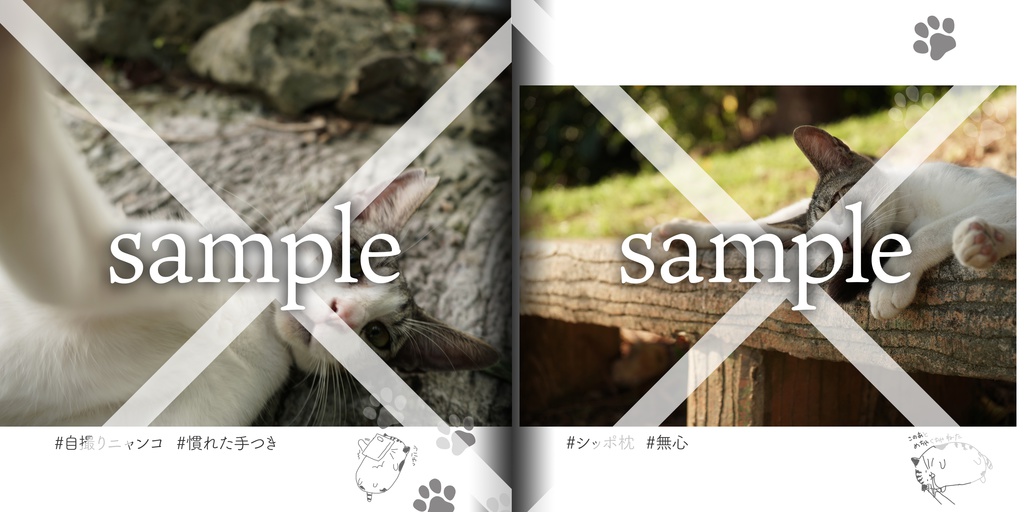 気の抜けたネコが見れる写真集